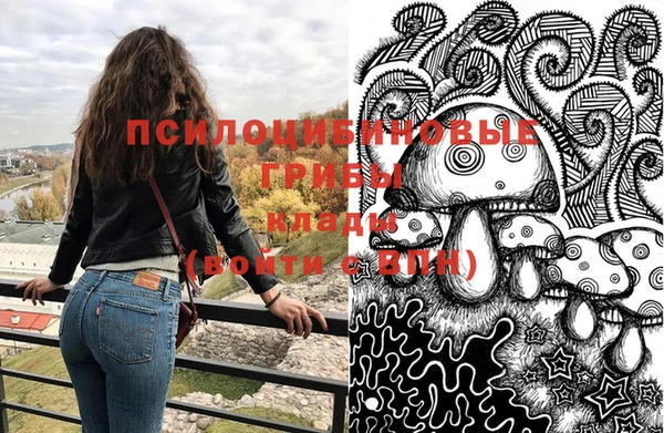 соль курить ск Арсеньев
