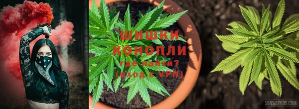 соль курить ск Арсеньев