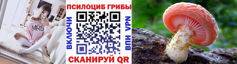 Галлюциногенные грибы GOLDEN TEACHER  наркошоп  Усть-Илимск 